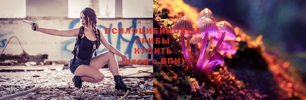 стафф Баксан