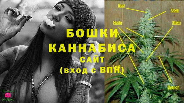 гидропоника Балахна