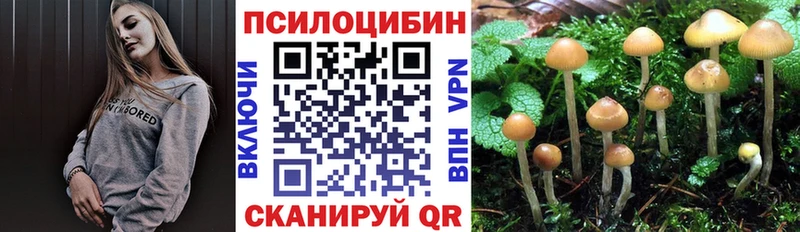 mega tor  Бирюч  Псилоцибиновые грибы GOLDEN TEACHER  площадка клад  купить  