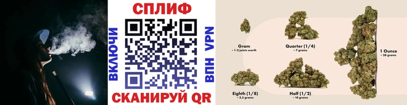 Бошки Шишки Amnesia  блэк спрут онион  Бирюч 